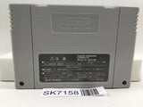 Super Donkey Kong Country 2 Nintendo Super Famicom SNES Japan - SK7158