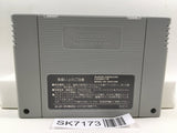 Disney's Beauty and the Beast Nintendo Super Famicom SNES Japan - SK7173