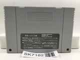 JoJo's Bizzare Adventure JoJo GioGio Nintendo Super Famicom SNES Japan - SK7182