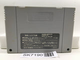 Parodius da! Shinwa Kara Owarai he Nintendo Super Famicom SNES Japan - SK7190