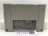 Gokujou Parodius Fantastic Journey Nintendo Super Famicom SNES Japan - SK7191
