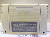 Fatal Fury Nintendo Super Famicom SNES Japan - SK7577