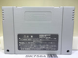 Akagawa Jirou Majotachi no Nemuri Nintendo Super Famicom SNES Japan - SK7584