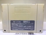 Street Fighter II 2 Nintendo Super Famicom SNES Japan - SK7585
