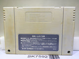 Street Fighter II 2 Turbo Nintendo Super Famicom SNES Japan - SK7592