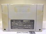 Super Street Fighter II 2 Nintendo Super Famicom SNES Japan - SK7596