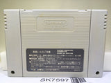 Final Fantasy 5 V Nintendo Super Famicom SNES Japan - SK7597