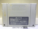 Super Tetris 2 + Bombliss Nintendo Super Famicom SNES Japan - SK7614