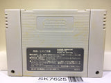 Dragon Ball Z Super Butouden 3 Nintendo Super Famicom SNES Japan - SK7625