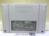 Chou Makaimura Super Ghouls 'n Ghosts Nintendo Super Famicom SNES Japan - SK7636