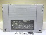 The Jungle Book Nintendo Super Famicom SNES Japan - SK7642