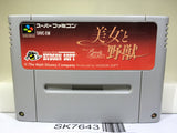 Disney's Beauty and the Beast Nintendo Super Famicom SNES Japan - SK7643