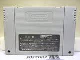 Super Donkey Kong Country 2 Nintendo Super Famicom SNES Japan - SK7667