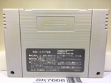 Super Donkey Kong Country 2 Nintendo Super Famicom SNES Japan - SK7668