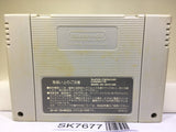Super Mario Collection All Stars Nintendo Super Famicom SNES Japan - SK7677