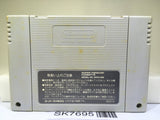 World Heroes Nintendo Super Famicom SNES Japan - SK7695