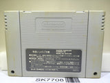 Takahashi Meijin no Daibouken Jima Nintendo Super Famicom SNES Japan - SK7708