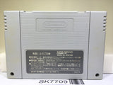 Takahashi Meijin no Daibouken Jima Nintendo Super Famicom SNES Japan - SK7709