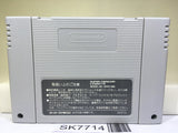 Torneco no Daibouken Fushigi no Dungeon Super Famicom SNES Japan - SK7714