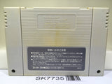 Romancing SaGa 2 Nintendo Super Famicom SNES Japan - SK7735