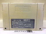 Street Fighter II 2 Nintendo Super Famicom SNES Japan - SK7743
