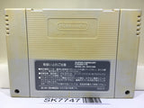 Street Fighter II 2 Nintendo Super Famicom SNES Japan - SK7747