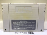 Dragon Quest V 5 Nintendo Super Famicom SNES Japan - SK7768