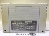 Dragon Ball Z Super Goku Den Totsugeki Hen Super Famicom SNES Japan - SK7773