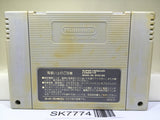 Dragon Ball Z Super Butouden Nintendo Super Famicom SNES Japan - SK7774