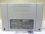 Super Nazo Puyo Rulue no Roux Puyo Puyo Super Famicom SNES Japan - SK7788