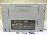 Super Fire Pro Wrestling Special Nintendo Super Famicom SNES Japan - SK7802