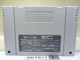 Aladdin Nintendo Super Famicom SNES Japan - SK7817