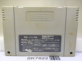 Hammerin' Harry Ganbare! Daiku no Gensan Super Famicom SNES Japan - SK7822