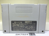 Super Donkey Kong Country Nintendo Super Famicom SNES Japan - SK7824