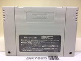 Super Donkey Kong Country Nintendo Super Famicom SNES Japan - SK7825