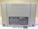Super Donkey Kong Country Nintendo Super Famicom SNES Japan - SK7826
