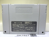 Super Donkey Kong Country Nintendo Super Famicom SNES Japan - SK7827