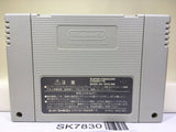 Super Donkey Kong Country 2 Nintendo Super Famicom SNES Japan - SK7830