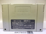 Super Donkey Kong Country 3 Nintendo Super Famicom SNES Japan - SK7833