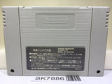 The Legend Of Zelda A Link to the Past Super Famicom SNES Japan - SK7886