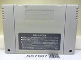 The Legend Of Zelda A Link to the Past Super Famicom SNES Japan - SK7887