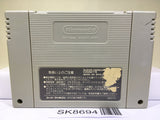 Galaxy Wars Nintendo Super Famicom SNES Japan - SK8694