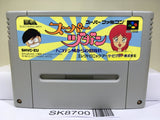 Super Zugan Mahjong Nintendo Super Famicom SNES Japan - SK8700