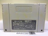 Super Zugan Mahjong Nintendo Super Famicom SNES Japan - SK8700