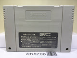 Wild Trax Stunt Race FX Nintendo Super Famicom SNES Japan - SK8706