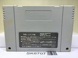 Wild Trax Stunt Race FX Nintendo Super Famicom SNES Japan - SK8707
