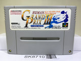 Human Grand Prix 3 F1 Triple Battle Racing Super Famicom SNES Japan - SK8710