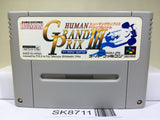 Human Grand Prix 3 F1 Triple Battle Racing Super Famicom SNES Japan - SK8711