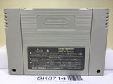 Taikou Risshiden Nintendo Super Famicom SNES Japan - SK8714