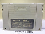 Ranma 1/2 Bakuretsu Rantou Hen Nintendo Super Famicom SNES Japan - SK8715